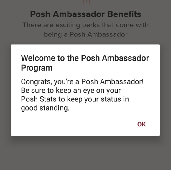 Posh Ambassador - Picture 2 of 4
